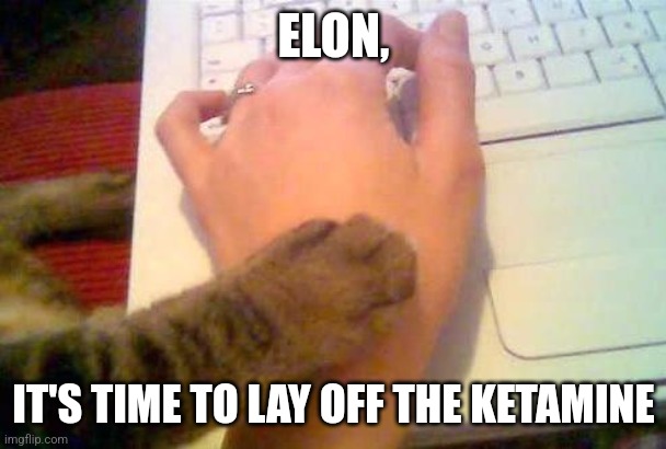 The Elon Musk / Asmongold beef saga is stranger than fiction 😆

What is this timeline?? 😆