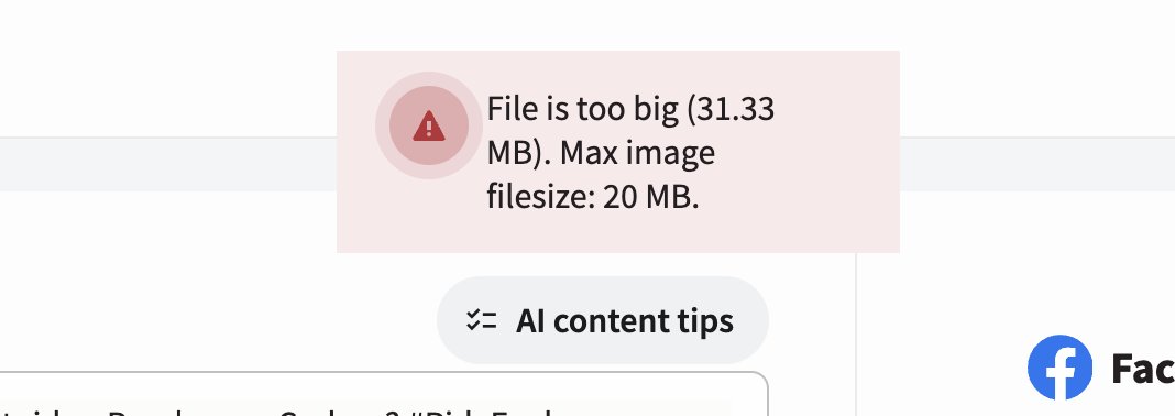 Ro Fonda tweet media