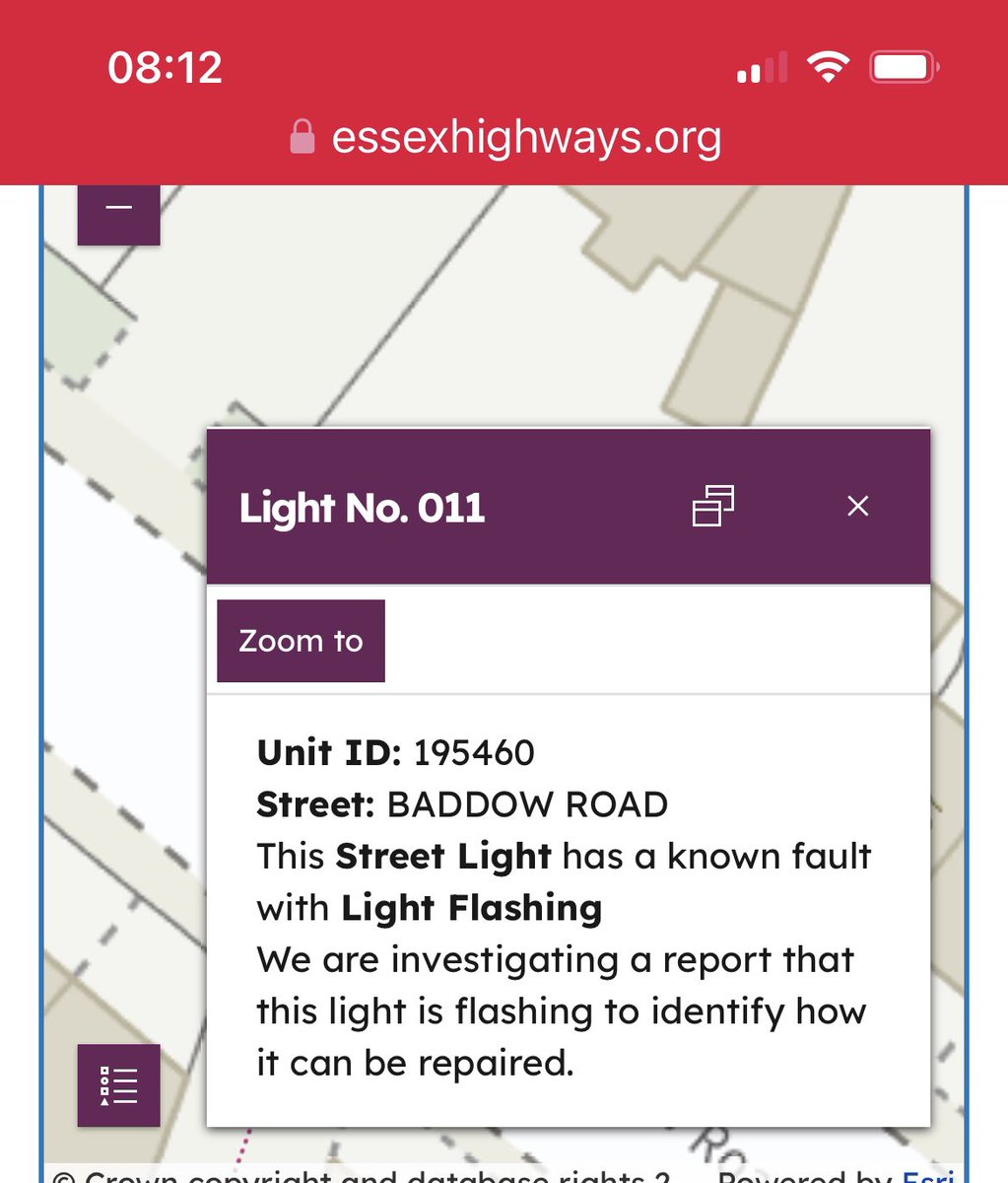 Maxine Trick Jones tweet media