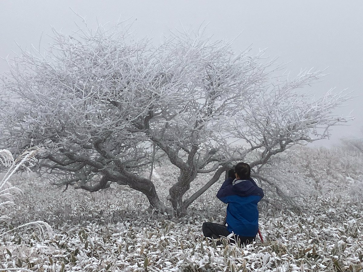 あけましておめでとうございます。しばらく送信ができておりませんでしたが、Xをインストールして再開できたらと思っています。本年も、よろしくお願いいたします。林明輝