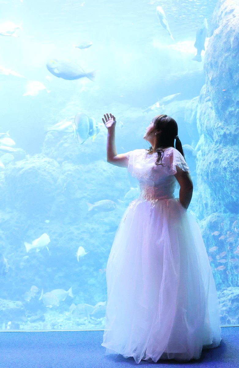 hiro_ykyk's tweet photo. ✨ At the aquarium ✨
Model mayumin さん
@mayu06121012
mayuminさん念願のウェディングドレスで新江ノ島水族館で撮影させて頂きました。
今回のシリーズLast Post に成ります。
爽やかな笑顔を有難う御座いました。
#新江ノ島水族館
#enosui_com
#えのすい
#水族館
#クラゲ
#ウェディングドレス https://t.co/WilRGpKjyd