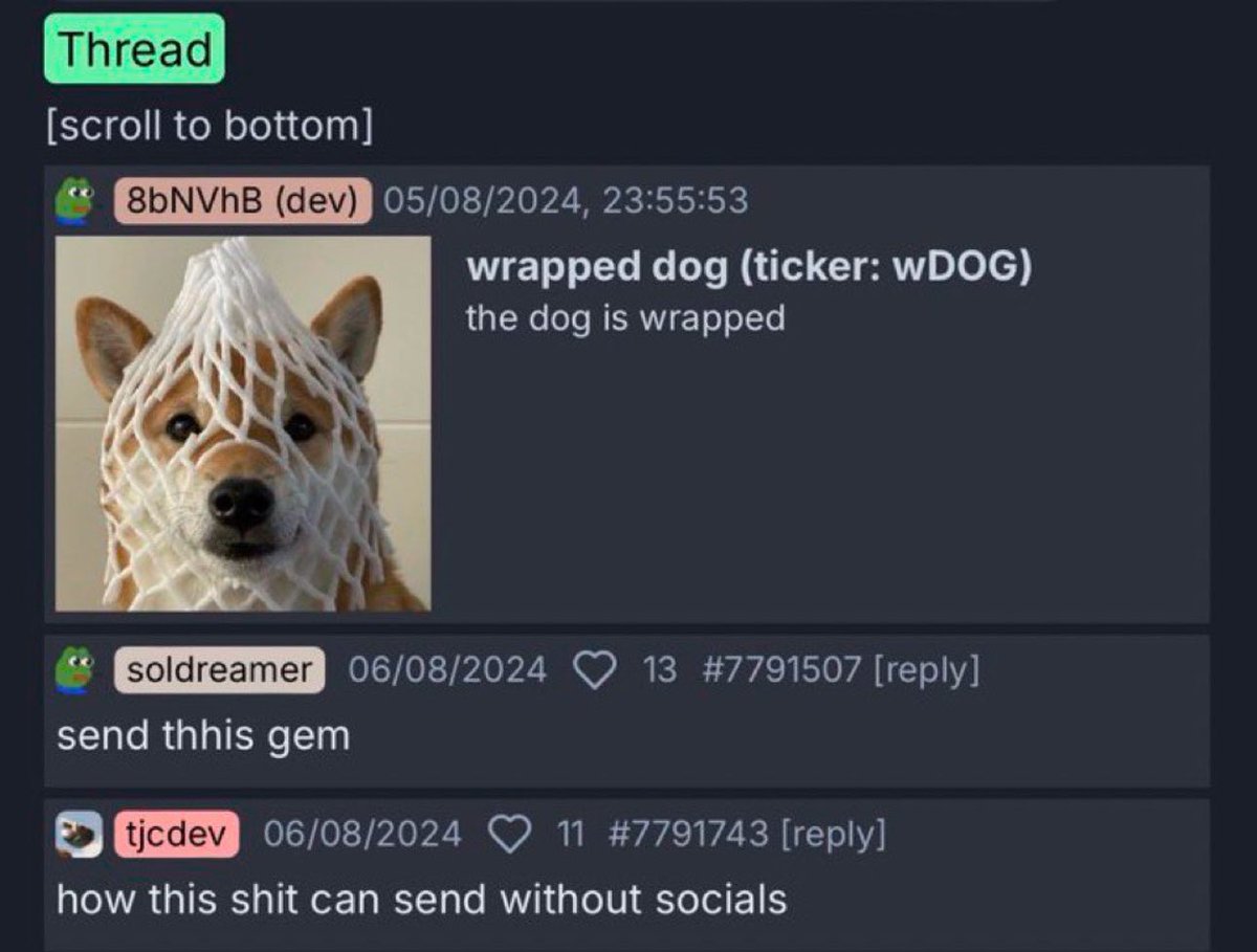wREE_7's tweet photo. $wDOG is the next $wDOG 1 of 1 we’re fully decentralized like no other https://t.co/XbkZdqY1L6