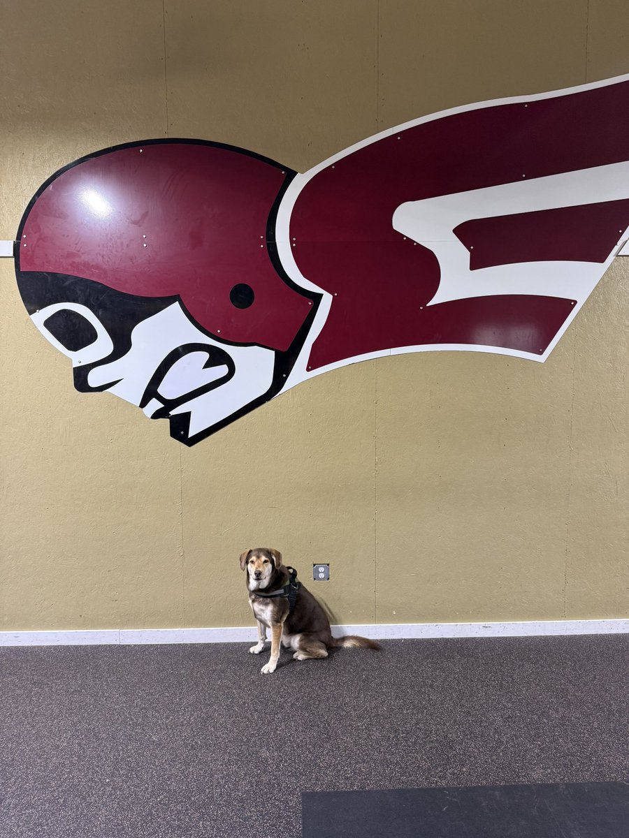 Collyn Richardson tweet media