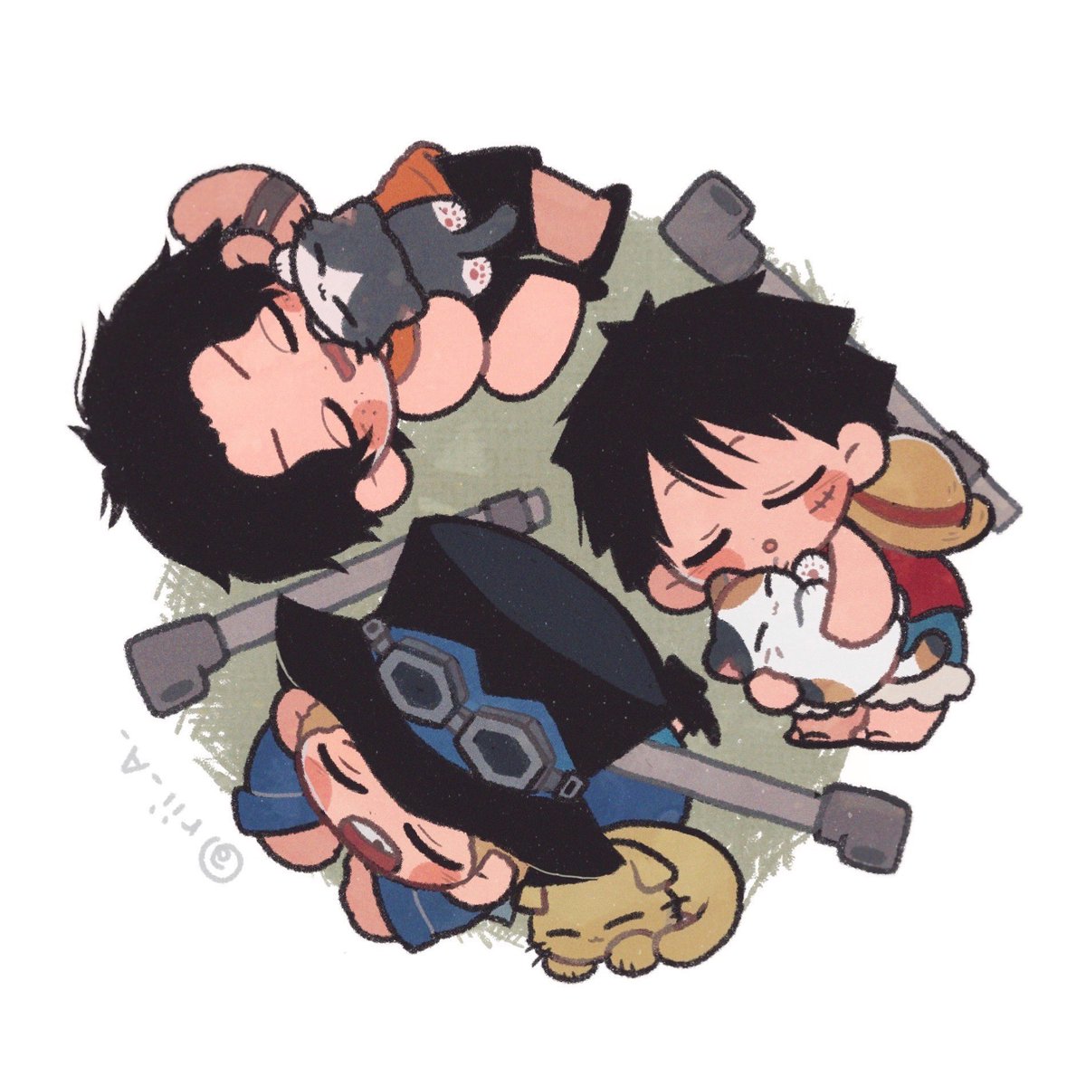rii_A_'s tweet photo. 🐈💤 https://t.co/rqm1exkTNV
