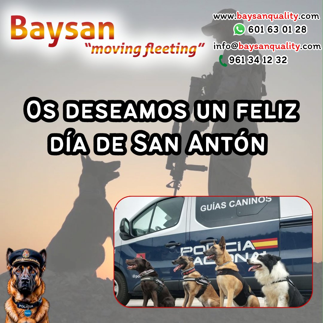 Grupo Baysan tweet media