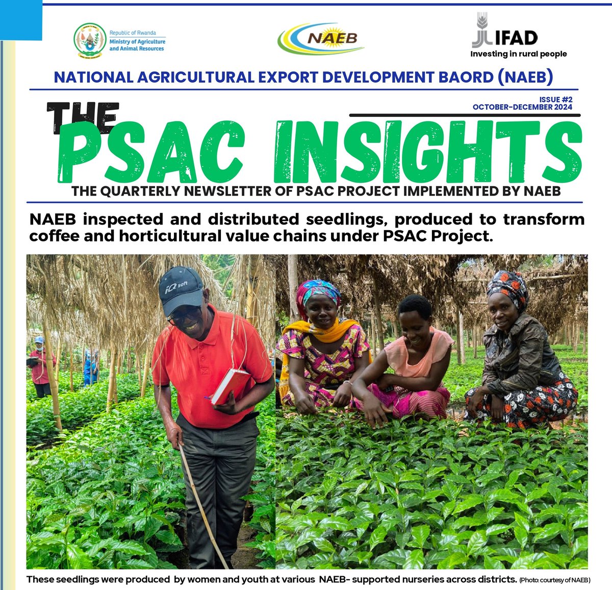 RwandAgriExport's tweet photo. 🚨We are excited to share Issue#2 of the Quarterly Newsletter📰for #PSAC Project, a @RwandaGov initiative, implemented by #NAEB. Discover NAEB's efforts to boost smallholders' productivity through inclusive &amp; sustainable agri-exports, via this link:  https://t.co/GAvIEoFpCm https://t.co/HkEaVjgNw7