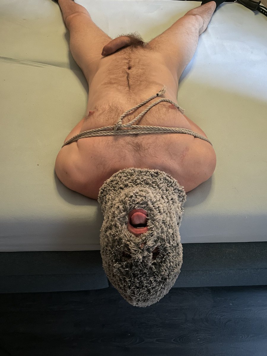 FluffySlutToy's tweet photo. Slut is desperately waiting for cock(s) https://t.co/Il6EEy93vd