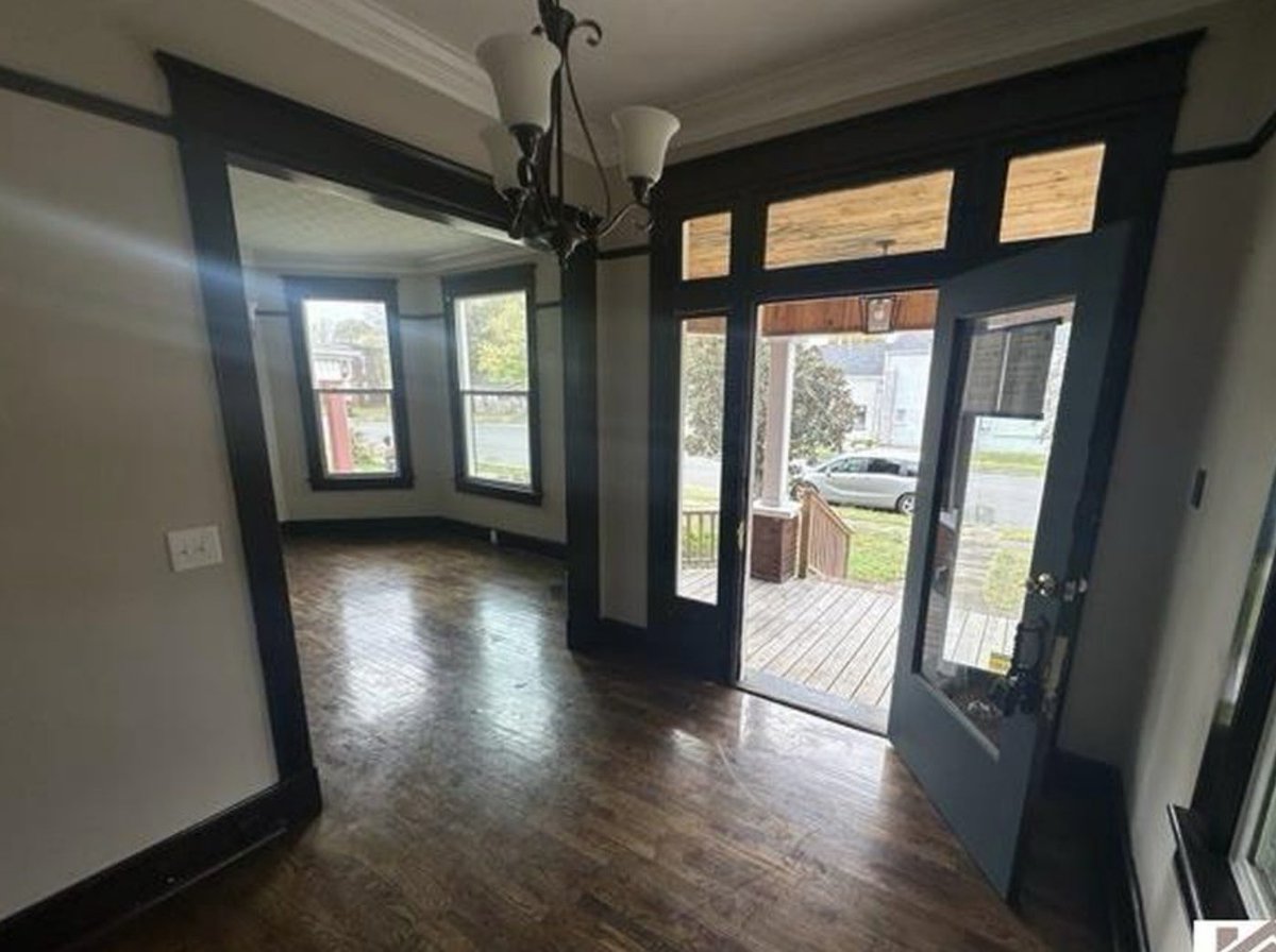 Old Hollow Tree tweet media