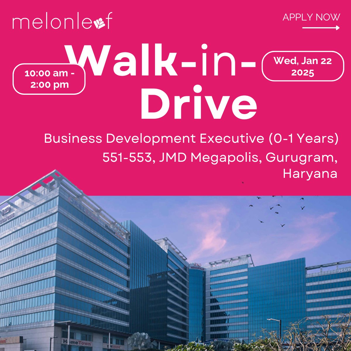 Melonleaf Consulting tweet media