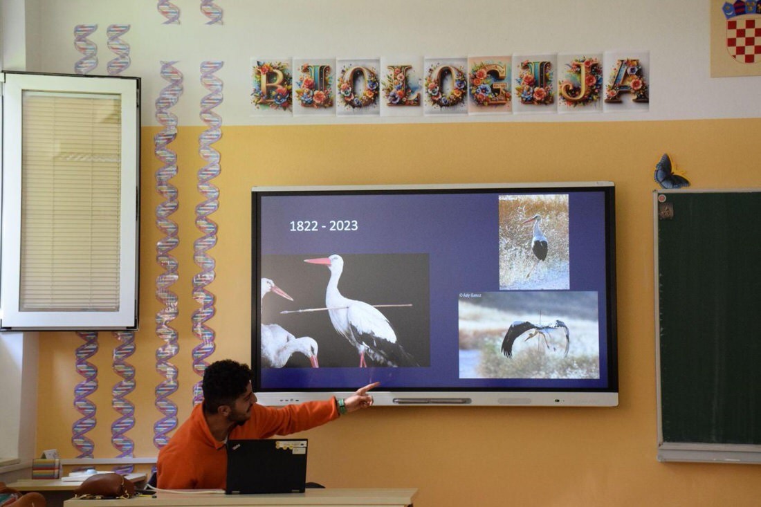 _OSME's tweet image. #OSMEwork Our latest guest blog on Zülfü Ferecli's time volunteering with BIOM, BirdLife International’s Croatian partner. He says: "I strongly encourage young people across the #OSME region to explore opportunities like this." bit.ly/3DWAWXf