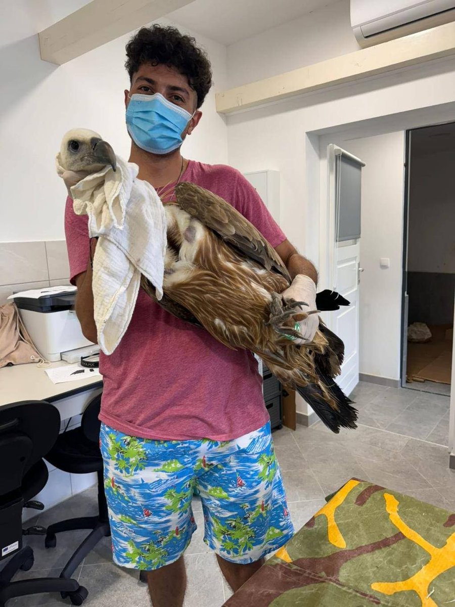 _OSME's tweet image. #OSMEwork Our latest guest blog on Zülfü Ferecli's time volunteering with BIOM, BirdLife International’s Croatian partner. He says: "I strongly encourage young people across the #OSME region to explore opportunities like this." bit.ly/3DWAWXf