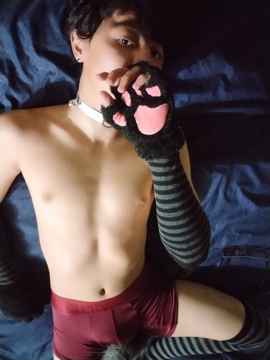 Luke_wolf97's tweet photo. Aquí tu mascota de confianza~ https://t.co/I3G1OZRibO