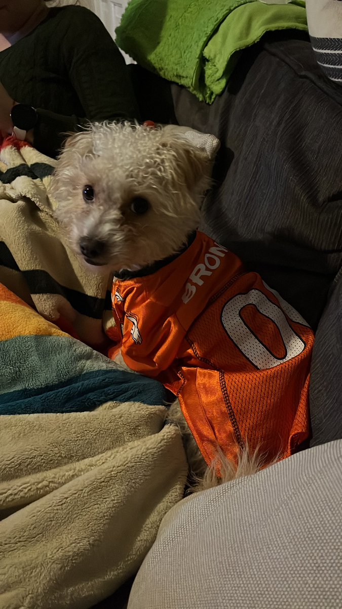 Andrew Monaghan tweet media