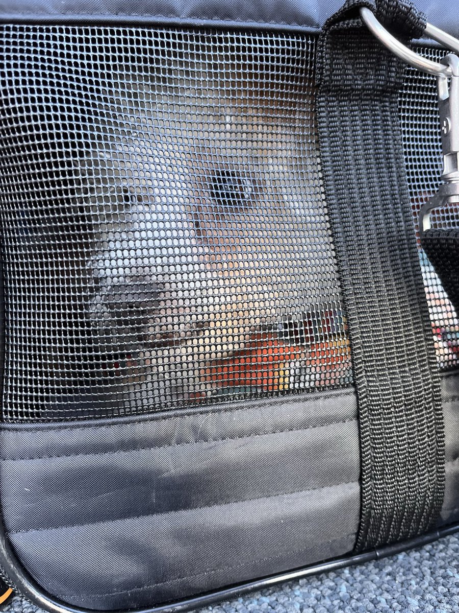 Andrew Monaghan tweet media