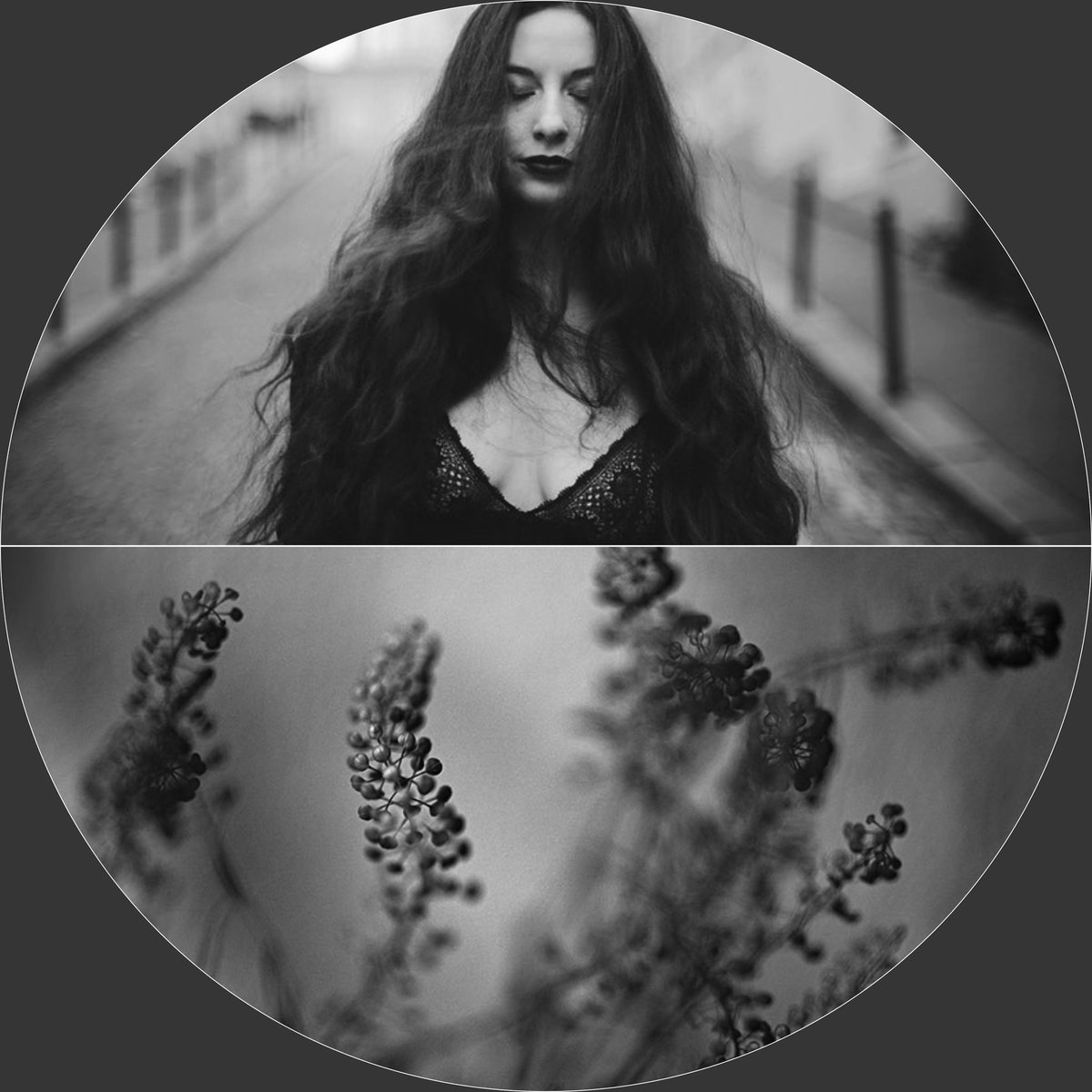 prismes's tweet photo. « Hey babe, take a walk on the wild side .. ». 

(C) Sophie Thouvenin 
https://t.co/70g3RNPLn2

#photooftheday #photo #noiretblanc #photoart https://t.co/yBLsnchXXe