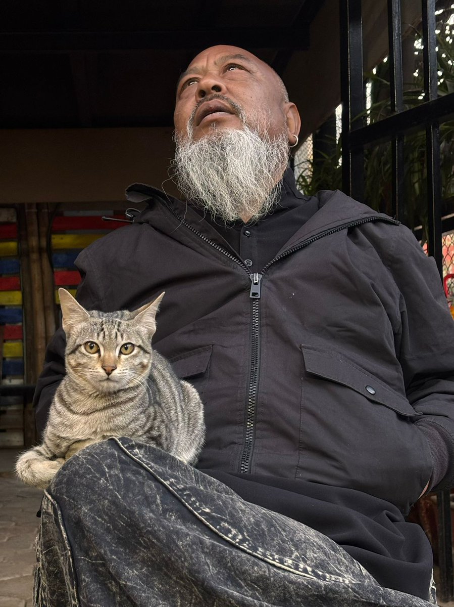 TWO CATS as if jumped out from the pages of our surreal novel MYSTICA