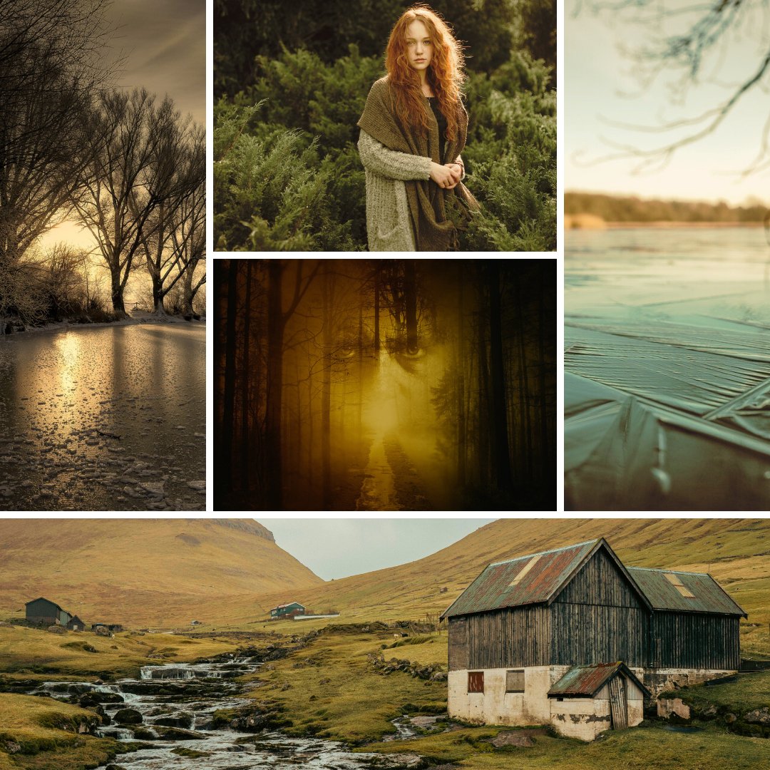 Lynn Love tweet media