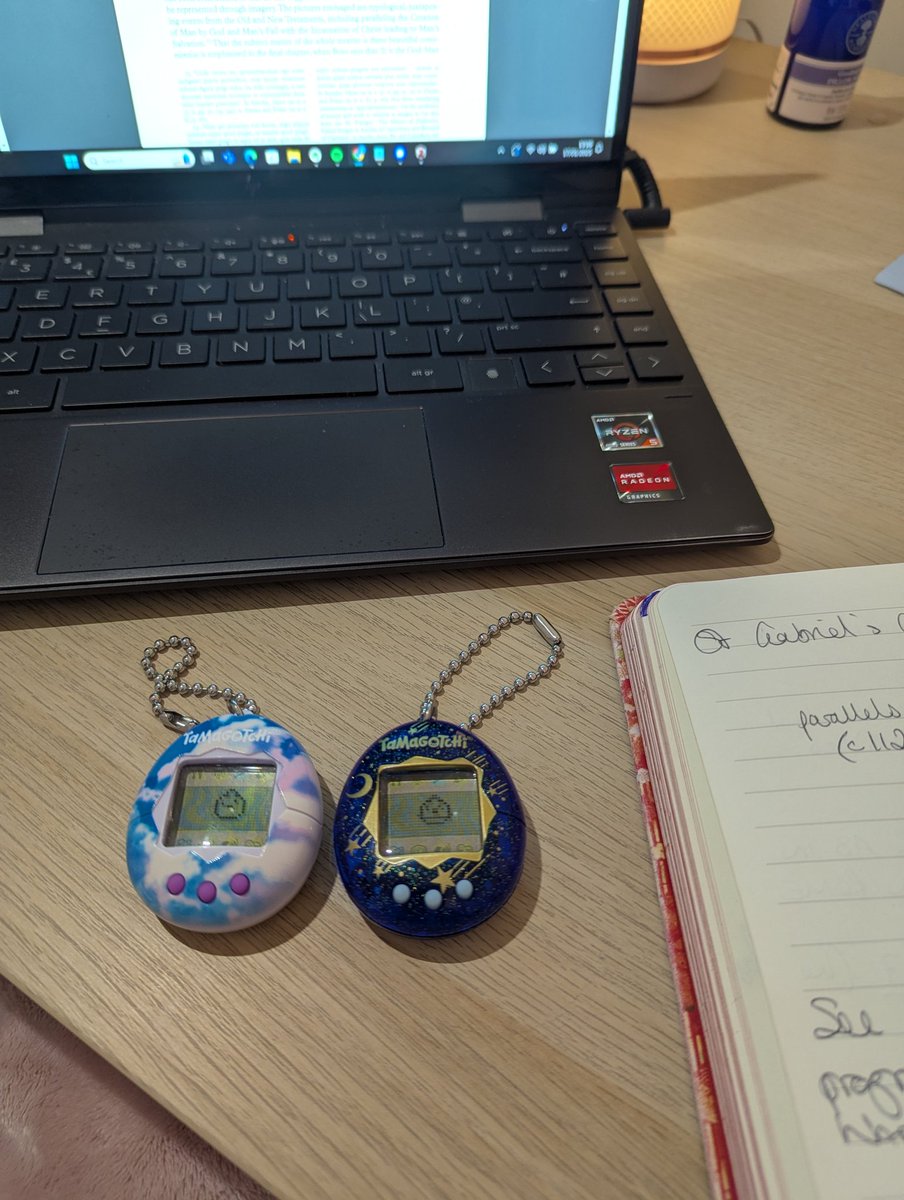 Two extremely annoying study buddies today! I'm on pet-sitting duties for my sons' tamagotchis. These things are surprisingly needy!! One has already somehow died 🪦😬 Will add this to the already substantial list of things that distract me from working... #phdlife