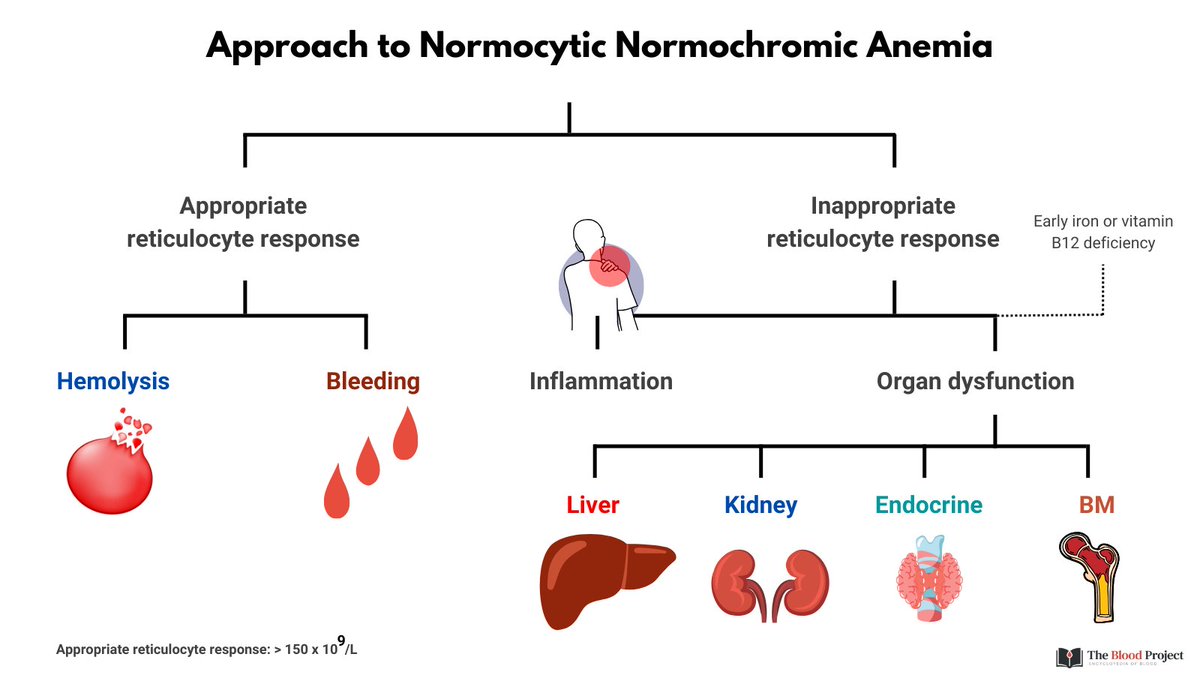 William Aird tweet media
