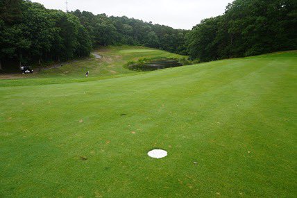 Girard Healy tweet media