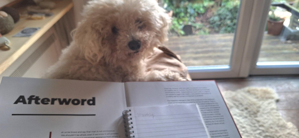 When your COOKBOOK has more meat🍖than your dog’s dreams!
Our real proof reader is very much into catching the last typos before the new edition is out 🤣
The COOKBOOK is approved for both humans and dogs. Dogs are impatient, so just stay with the ingredient list and don't bother
