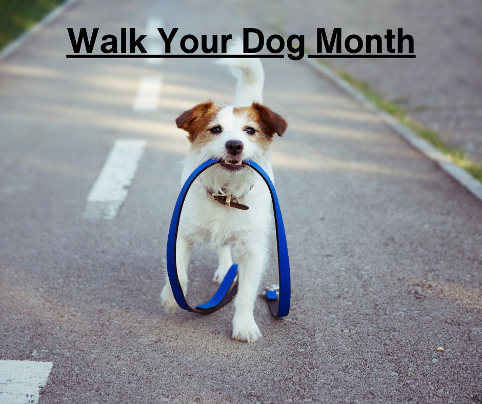 Shores Animal Hospital tweet media