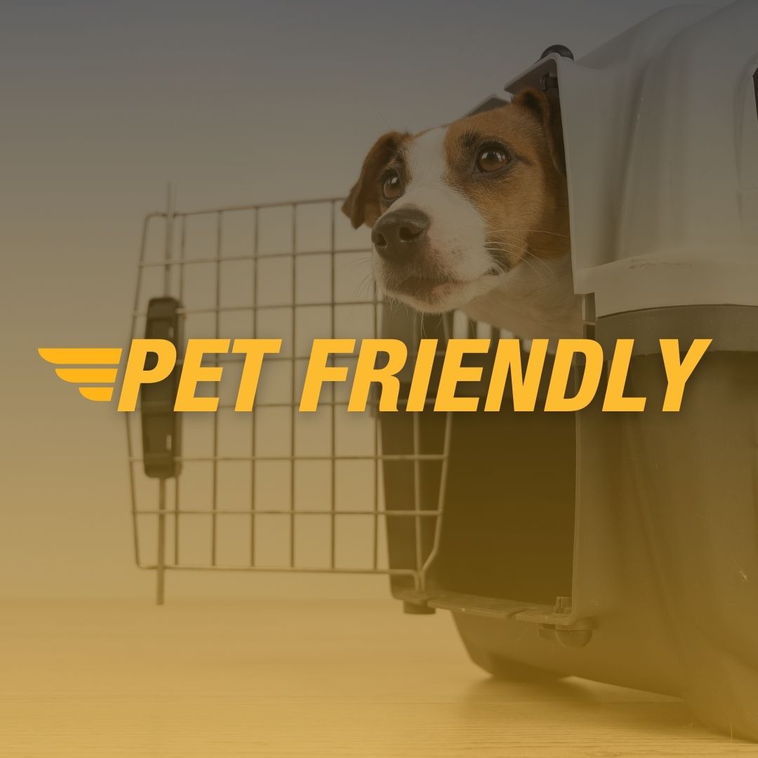 Fine Airport Parking tweet media