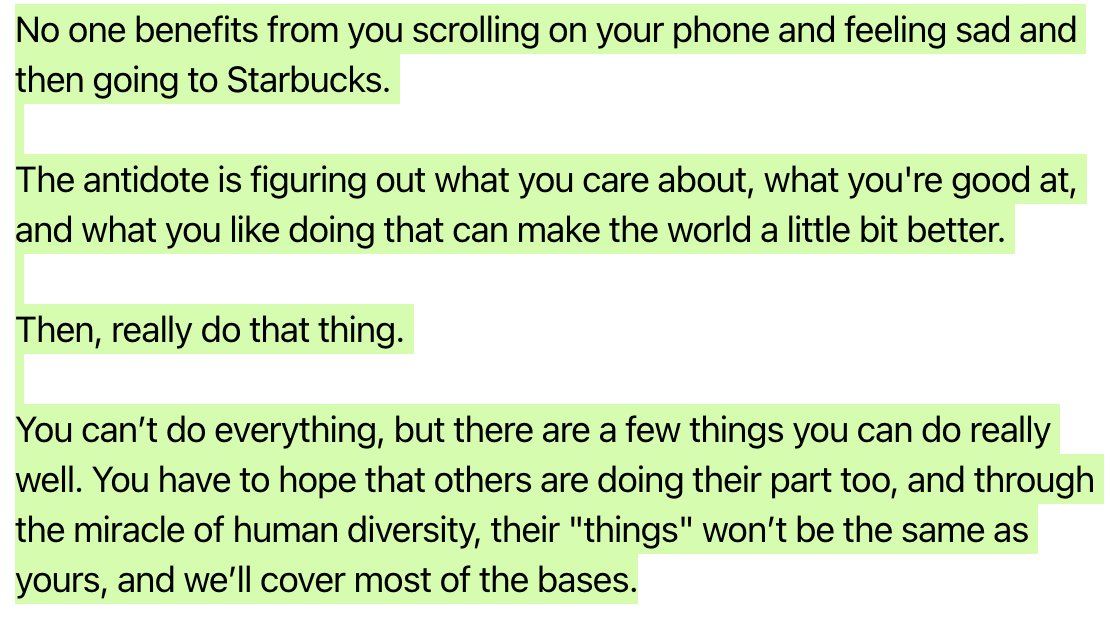 sari azout tweet media