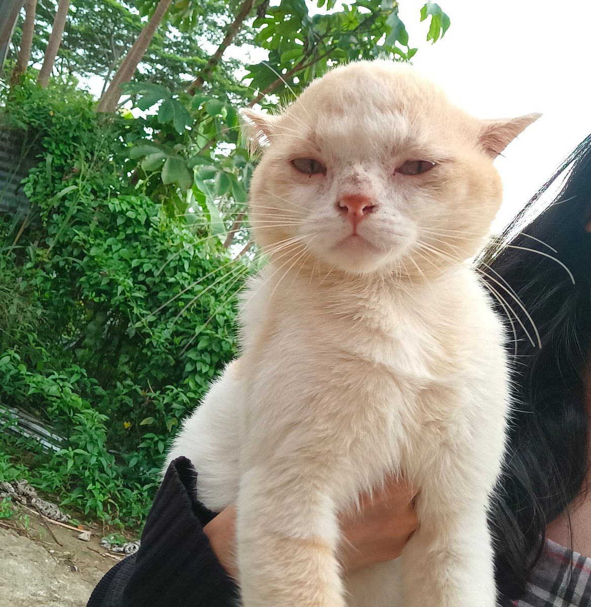 __chimichi's tweet photo. 7/10, kurang kul dan bet boi. mana muka sangar kau itu? https://t.co/T0eoS8stsH