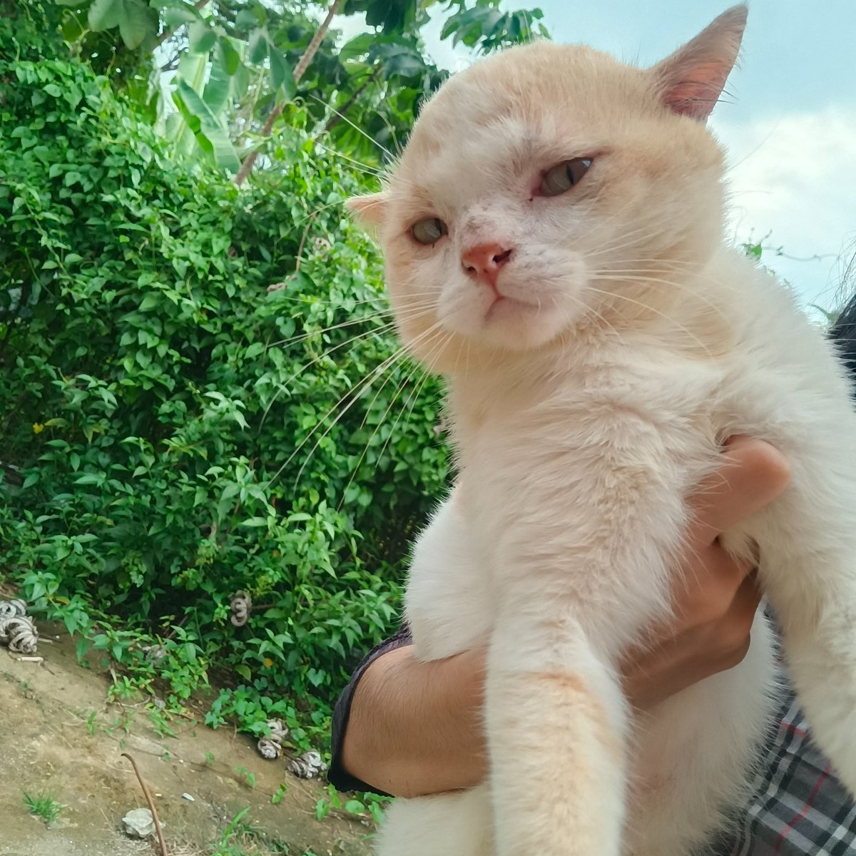 __chimichi's tweet photo. 7/10, kurang kul dan bet boi. mana muka sangar kau itu? https://t.co/T0eoS8stsH