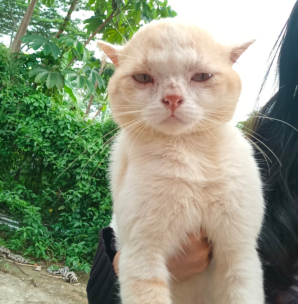 __chimichi's tweet photo. 7/10, kurang kul dan bet boi. mana muka sangar kau itu? https://t.co/T0eoS8stsH