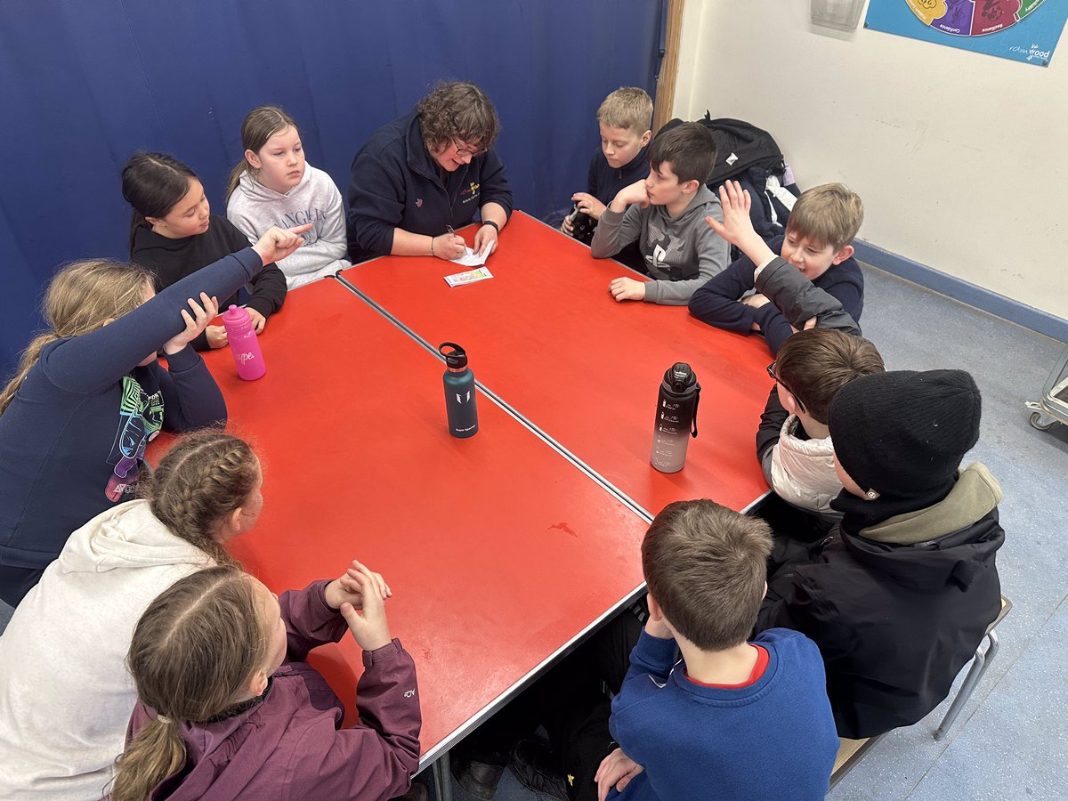 Bournmoor Primary Sc tweet media