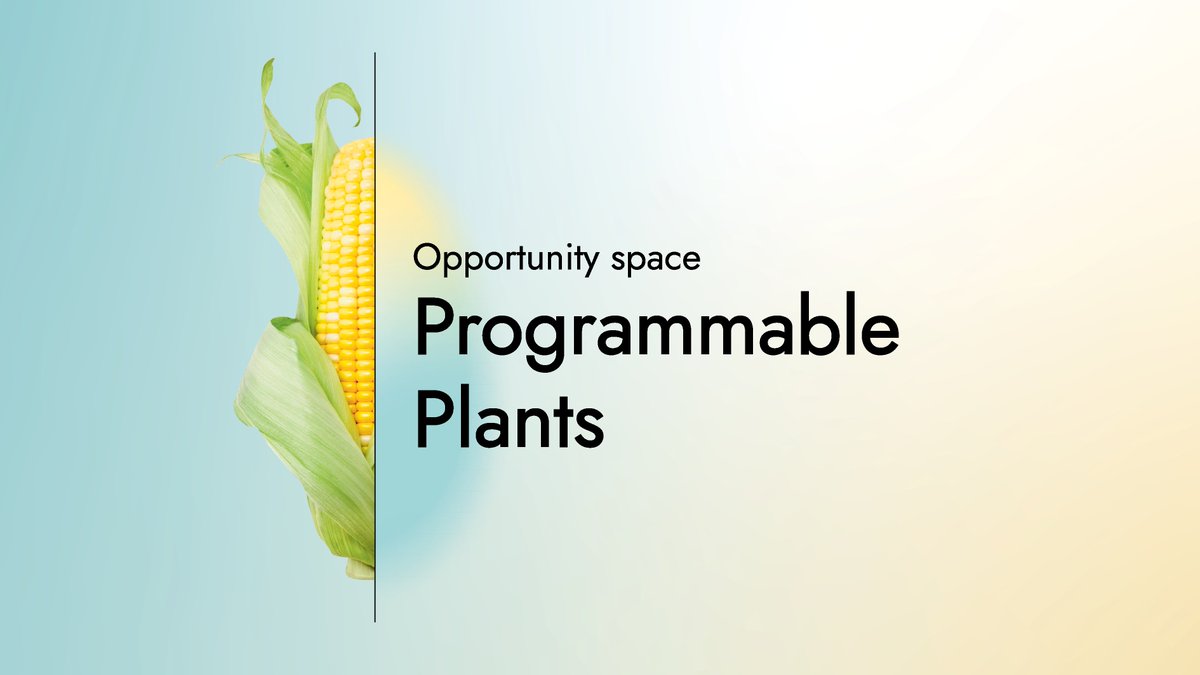 ARIA_research's tweet photo. 👀 Our next round of seed funding is coming soon – this time in our Programmable Plants opportunity space. Sign up to hear when the call goes live 👇

https://t.co/gphNjiswqj https://t.co/cYkhzRoqOS
