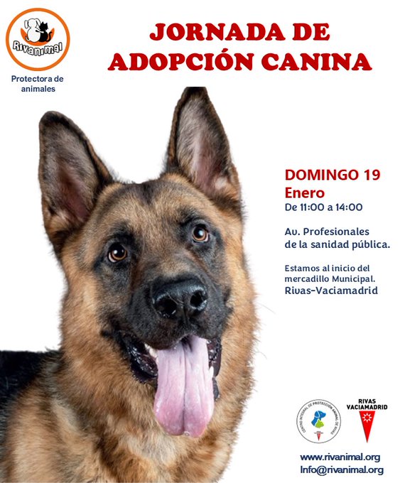 Foto cedida por Ayuntamiento de Rivas