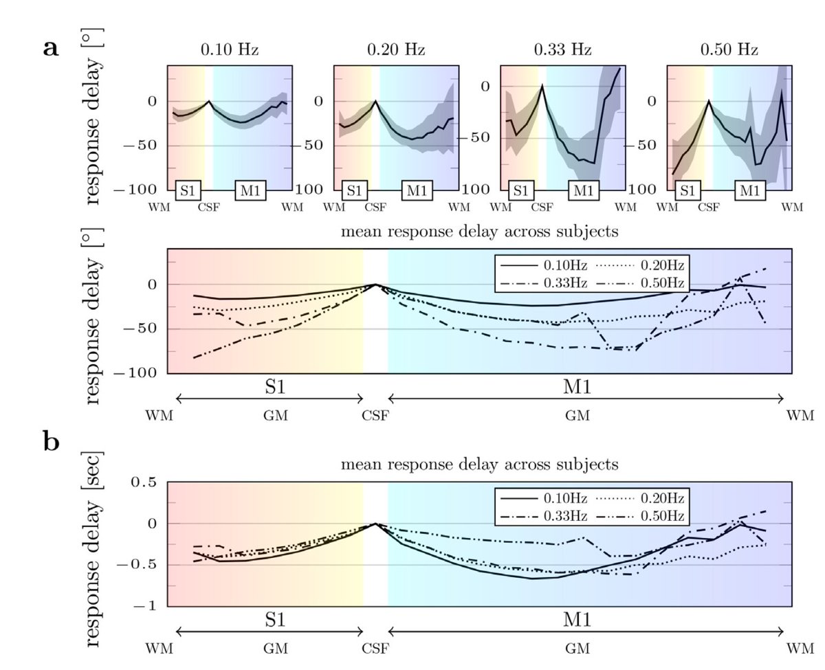 layerfMRI's tweet photo. New layer-fMRI paper investigating the HRF sensitivity to high-frequency stimulation across layers in the sensory-motor system.  
Middle and deep layers show shortest delay.
By @HodonoS et al. 
https://t.co/tbnyZWkM3L https://t.co/dYwP7BMq5d