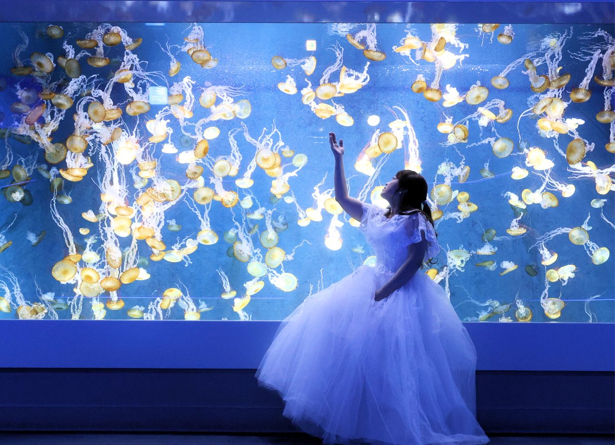 hiro_ykyk's tweet photo. ✨ At the aquarium ✨
Model mayumin さん
@mayu06121012
mayuminさん念願のウェディングドレスで新江ノ島水族館で撮影させて頂きました。
今回のシリーズLast Post に成ります。
爽やかな笑顔を有難う御座いました。
#新江ノ島水族館
#enosui_com
#えのすい
#水族館
#クラゲ
#ウェディングドレス https://t.co/WilRGpKjyd