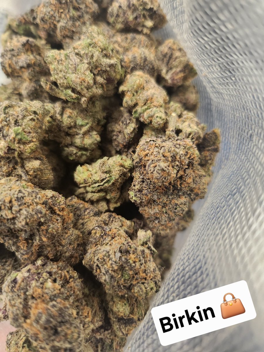 bocaplantbased's tweet photo. #CannabisDelivery

#FtLauderdaleCannabis

#BrowardCountyCannabis

#WeedDeliveryFL

#CannabisCommunity

#FtLauderdale420

#Broward420

#MedicalMarijuanaFL

#MarijuanaDelivery

#FloridaCannabis

#420Broward

#CannabisLife

#WeedDeliveryBroward

#SouthFloridaCannabis

#FortLaudy https://t.co/ukwA9Batdr