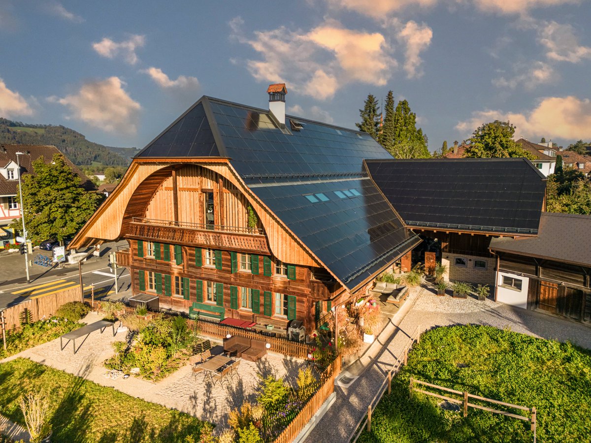 AukeHoekstra tweet media