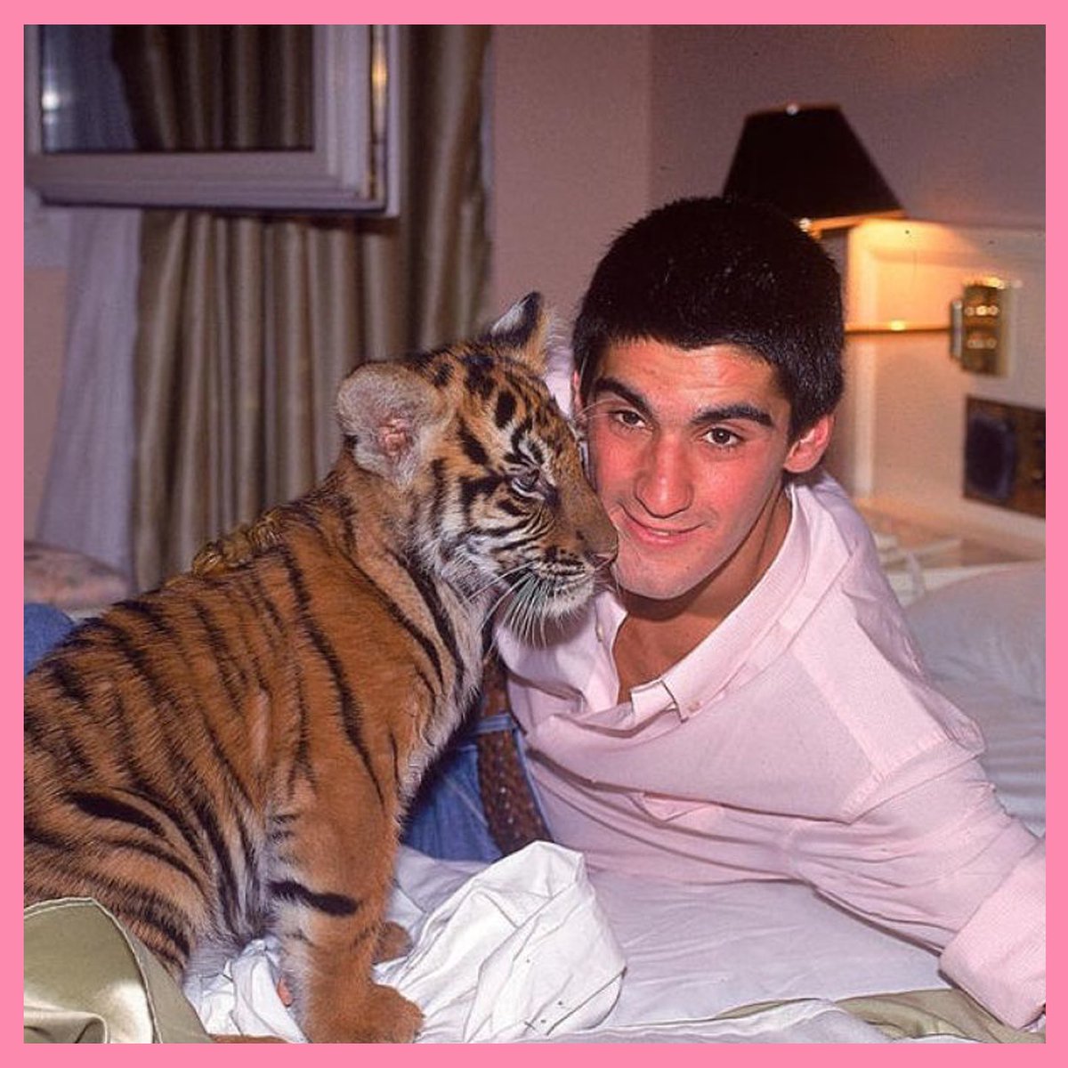 Petardeo Pop tweet media