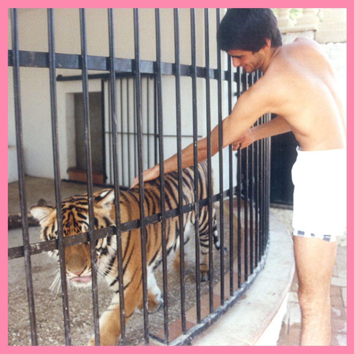 Petardeo Pop tweet media