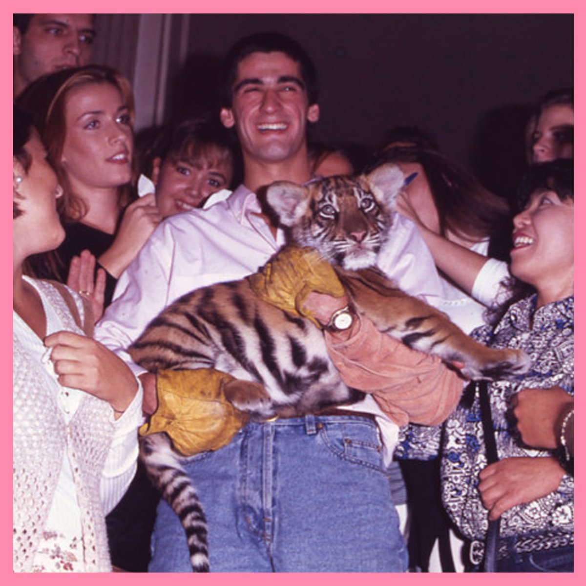 Petardeo Pop tweet media