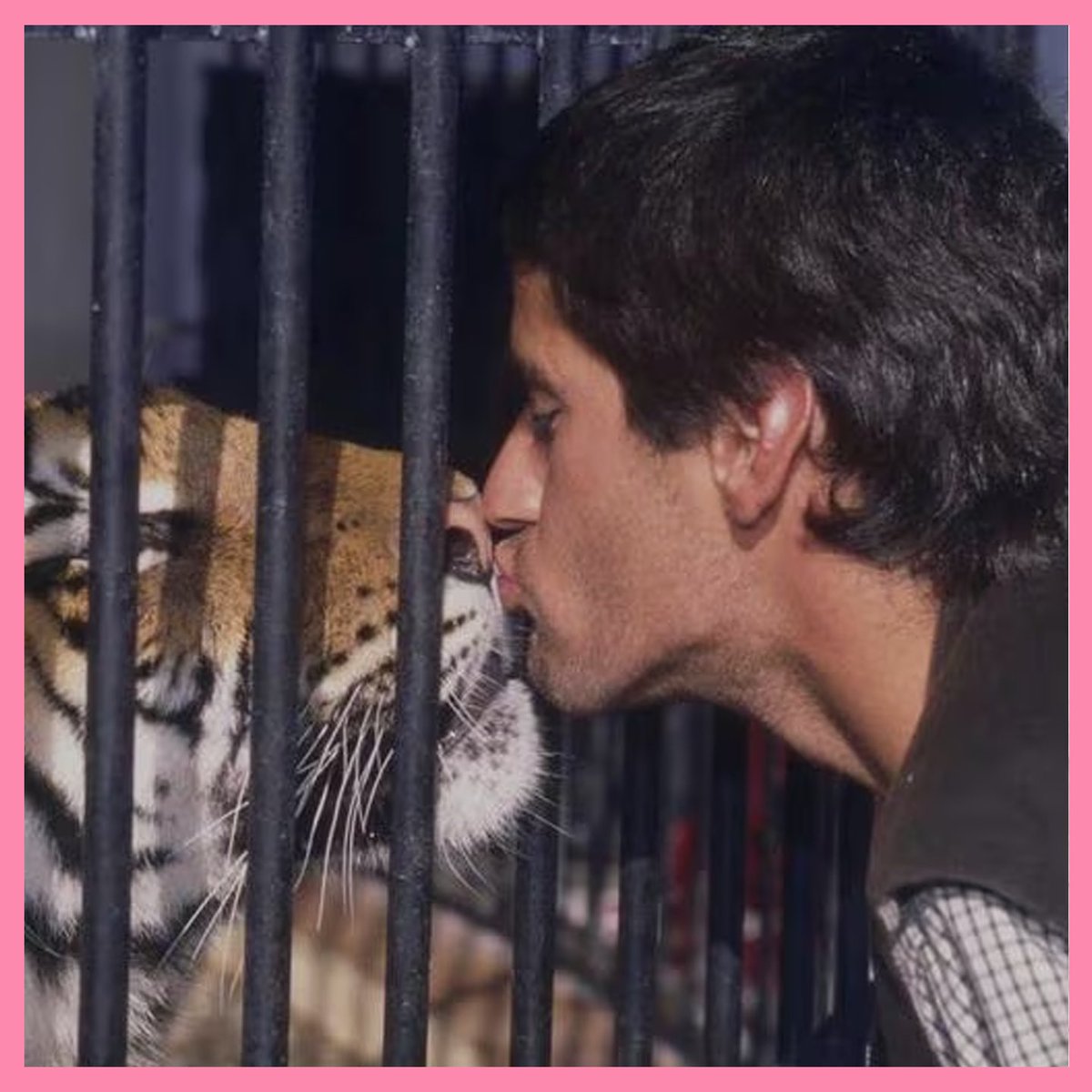 Petardeo Pop tweet media