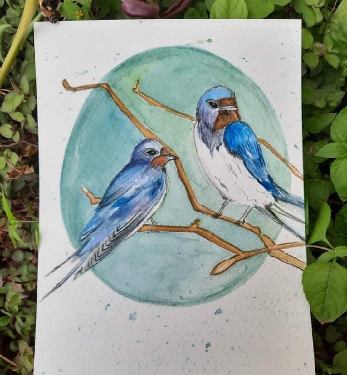 monnishaalife's tweet photo. Learn to identify a bird by its call. Because, first you hear it, and then you see it. And many a time, you don't even see it. -
#Watercolor
#watercolorbirds #watercolorart #watercolorbirdspainting
#watercoloring https://t.co/4b9bce8ckT