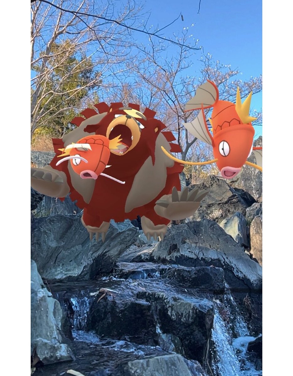 blomkvist981's tweet photo. でたーー😱😱😱💨

#滝登りって過酷🐟🐡
#pokeAquaRium 
#GOsnapshot #ARofTheDay
#GOsnapshotCelebration https://t.co/wChVFJh6Es