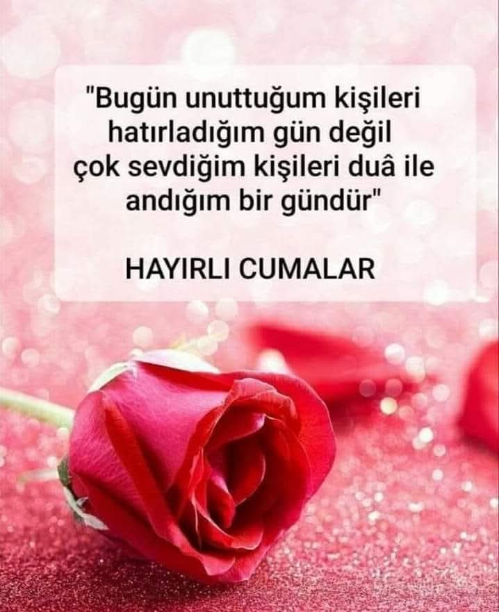 Gönlümüzden geçenler ömrümüze yazılsın. Herkese içindeki iyilik kadar iyi bir hayat dilerim.. 
Hayırlı Cumalar.. 🙏
Günaydınlar..