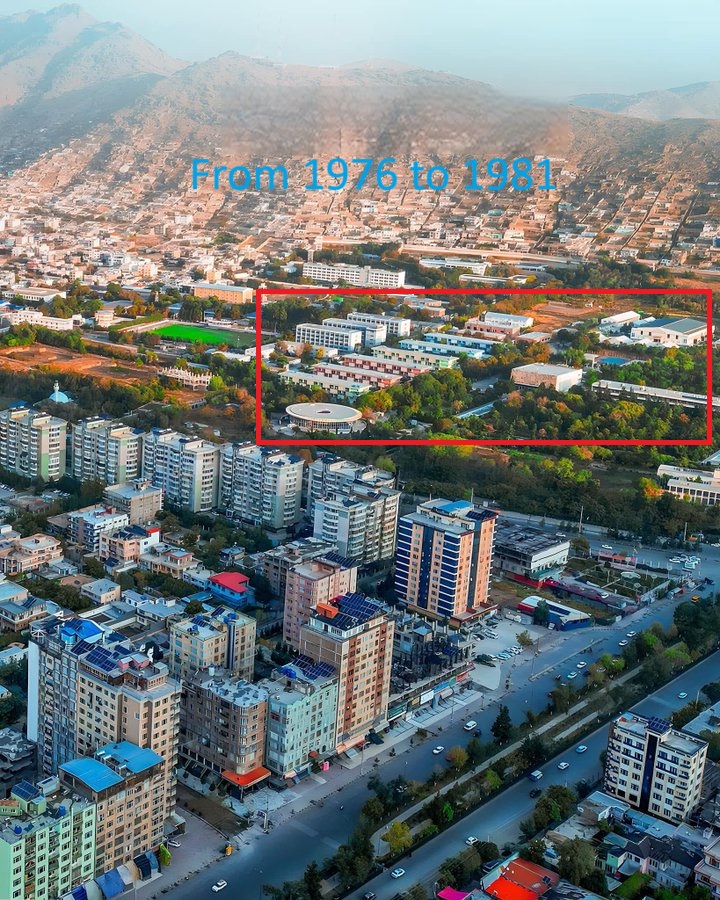 VirtualsAddict's tweet image. Do you remember when you joined X? I do! #MyXAnniversary سیزدهمین سالگرد تویترم مبارکم باشد.
همین