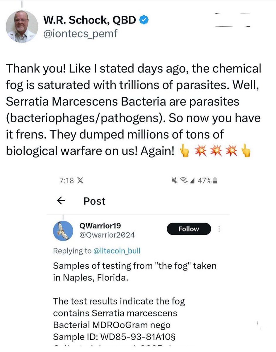 GoldeN_LemonS81's tweet photo. @SaskiaHeijden Ik heb de testresultaten nog niet kunnen bevestigen, maar...
Maak kennis met de #Serratia #marcescens_bacterie, die vaker wordt gebruikt in biologische 

https://t.co/DqCU0caj17 https://t.co/N2h39PhcW2