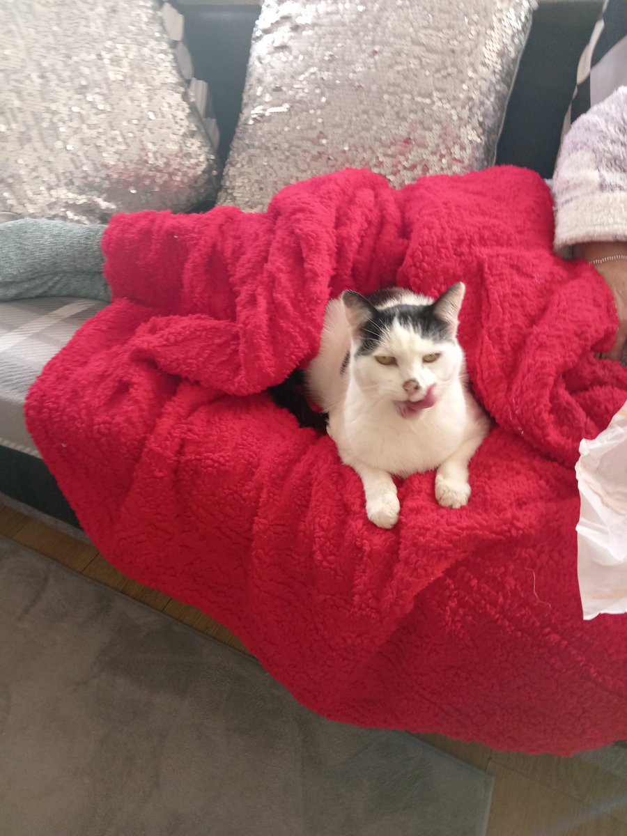 You cosy there timber after your lick-e-lic