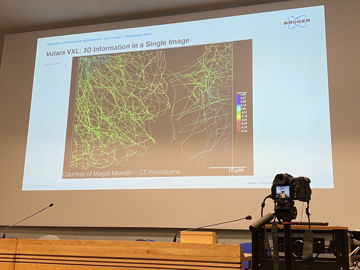 Karine MONIER (@kmonier007) on Twitter photo Live from #TEDImabio in Lyon, talk from Romina Macco <a href="/BrukerFM/">Bruker Fluorescence Microscopy</a> exhibiting beautiful images acquired <a href="/iNeuroMyoGene/">InstitutNeuroMyoGène</a> by <a href="/loisel_celine/">Loisel Celine</a> and <a href="/BIC_Bordeaux/">BIC</a> by GT-Pointillisme <a href="/RTMFM1/">MFM_Microscopy</a> 💫✨💎 Live from #TEDImabio in Lyon, talk from Romina Macco <a href="/BrukerFM/">Bruker Fluorescence Microscopy</a> exhibiting beautiful images acquired <a href="/iNeuroMyoGene/">InstitutNeuroMyoGène</a> by <a href="/loisel_celine/">Loisel Celine</a> and <a href="/BIC_Bordeaux/">BIC</a> by GT-Pointillisme <a href="/RTMFM1/">MFM_Microscopy</a> 💫✨💎