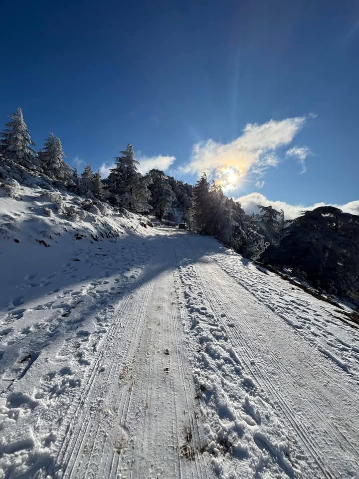 AlgAujourdhui's tweet photo. #Photos
Du Parc National de #Belezma (Batna) https://t.co/GsPkIh49rc